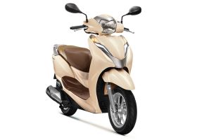 Dán keo xe Lead 2022