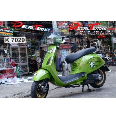Tem Primavera Bông Tuyết