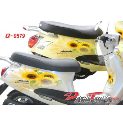Tem Elizabeth Hoa Hướng Dương 