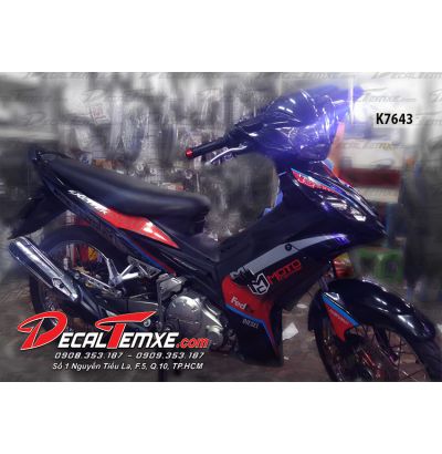 Tem Exciter 2010 Motul