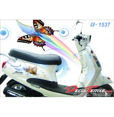 Tem Elizabeth con bướm 